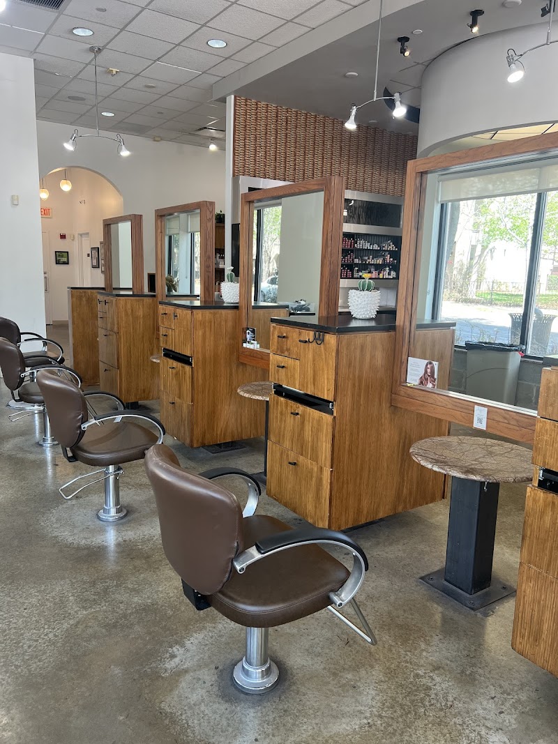 Lure Salon