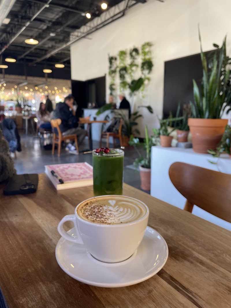 NATIVE COFFEE CO.